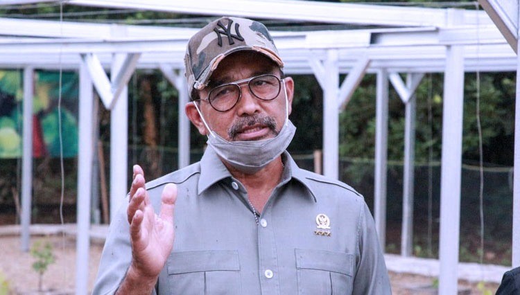 DPD RI Minta Polri Usut Tuntas Soal Oknum Polisi Jual Senjata Api ke KKB