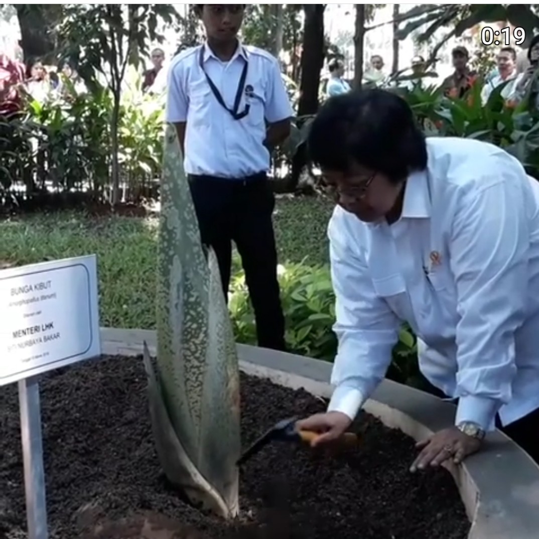 Menteri LHK Sebut Tanam Pohon Bersama Bangun Asah Kepekaan Rimbawan