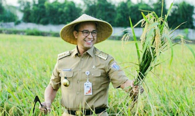 Jaga Ketersediaan Beras di DKI, Anies Ikut Panen Raya di Cilacap