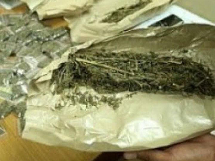 Dua Bandar Ditangkap di Jonggol, Lebih dari 52 Kilo Ganja Disita Polisi