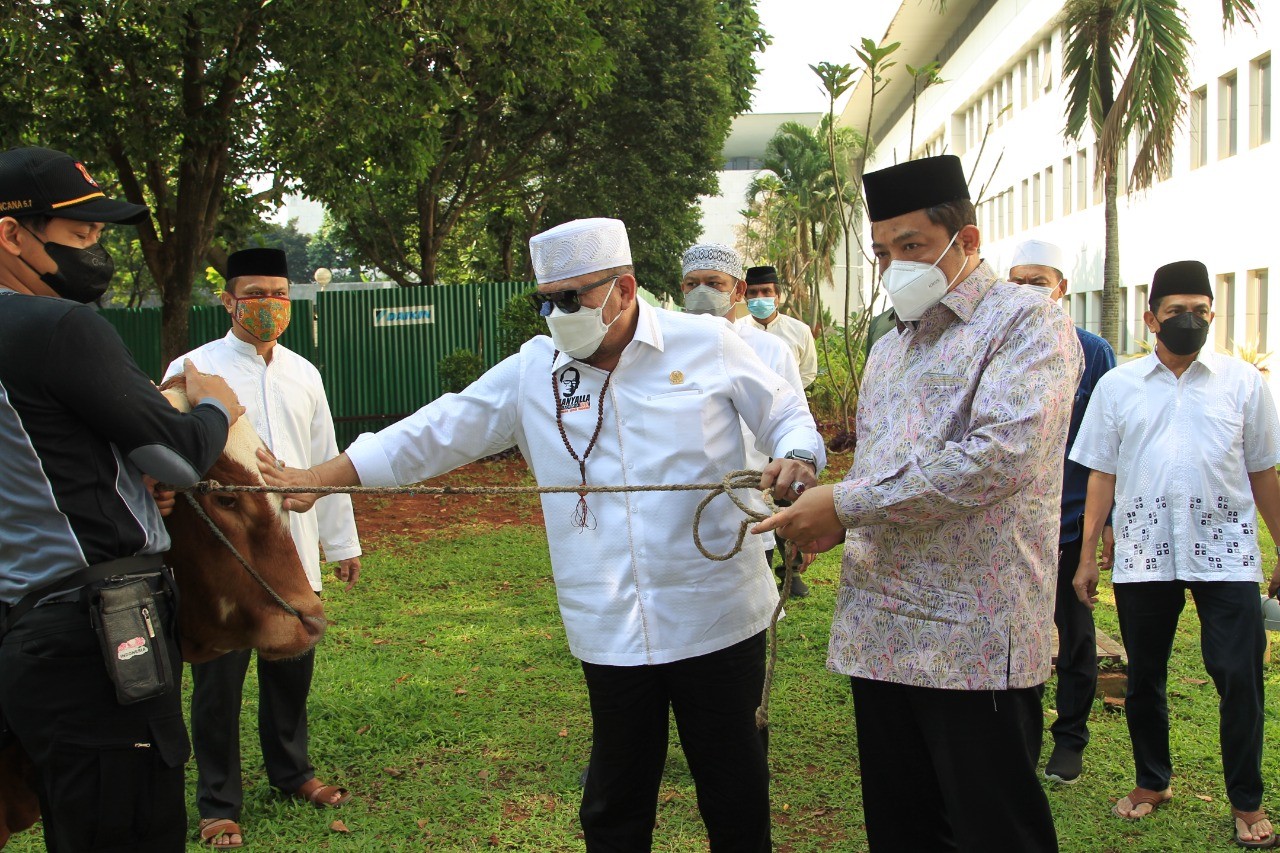 Idul Adha di Tengah Pandemi,  DPD RI Berbagi Hewan Kurban