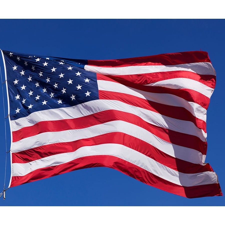 Populasi Kulit Putih di Amerika Menurun, Ras Asia Naik Signifikan