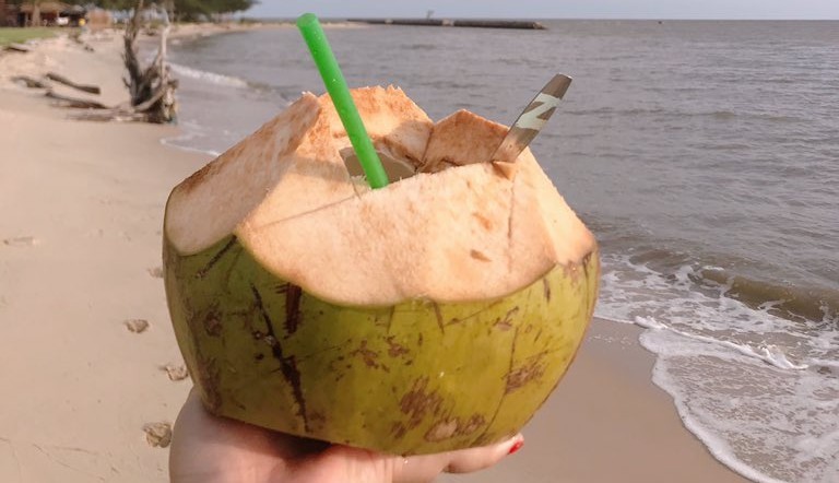 Yang Belum Tahu, Nih Khasiat Air Kelapa Untuk Hadapi Pandemi