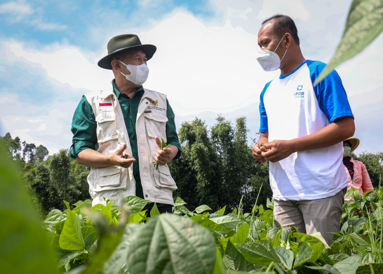 Teten Minta Petani Gabung ke Koperasi Agar Tak Pusing Jual Produk