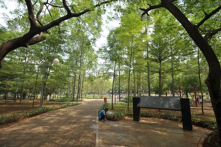 Desain Revitalisasi Taman Tebet Tuai Kritik, Ini Saran Ahli