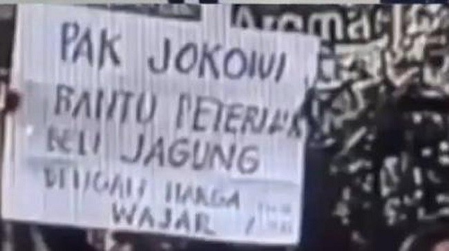 Peternak Menjerit, Presiden Jokowi Jangan Diam Saja!