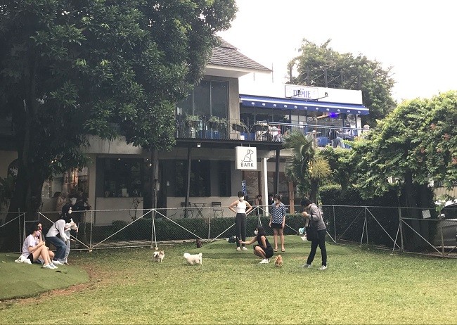 Como Park, Tempat Nongkrong yang Hits di Ibu Kota
