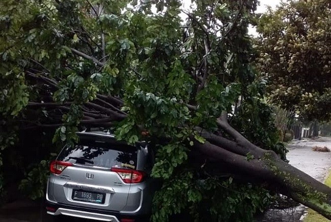 Cuaca Kota Bogor Ekstrem, Bima Arya Imbau Warganya Batasi Aktivitas di Luar Rumah 