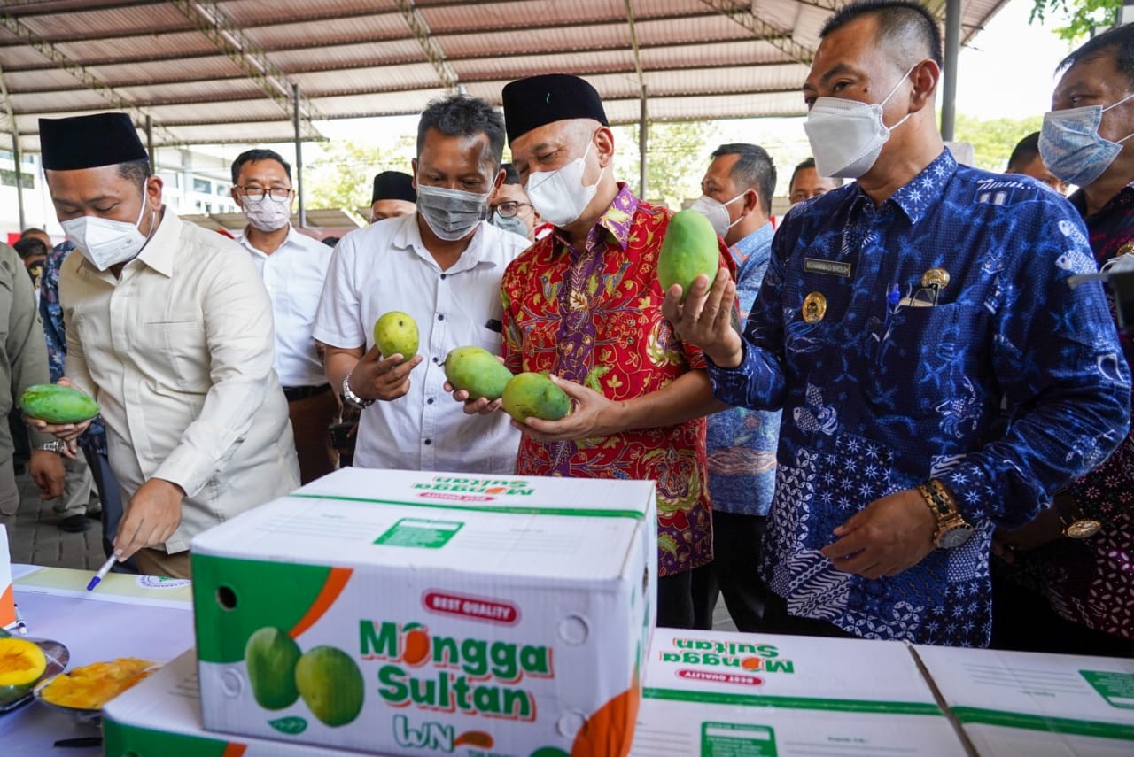 Ekspor Mangga Gresik ke Singapura, Teten: Ini Bukti UMKM Kita Berdaya Saing Tinggi