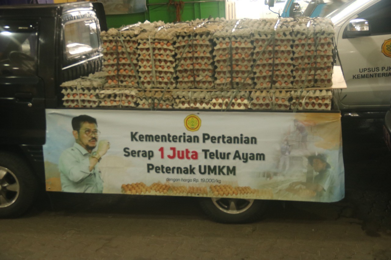 Peduli Peternak Ayam, Kementan Serap Satu Juta Butir Telur
