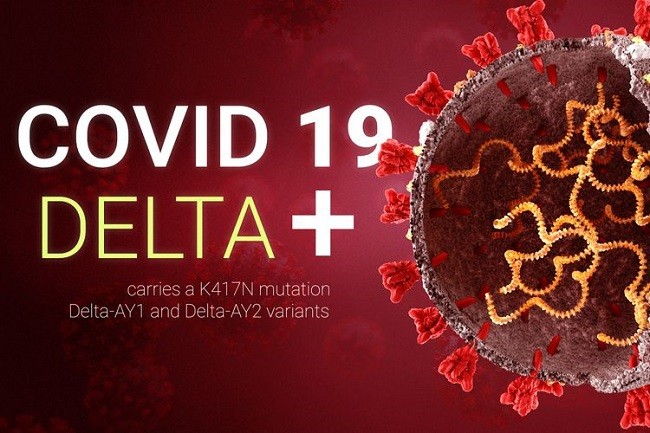 PKS Minta Pemerintah Jangan Asbun Soal Covid-19 Delta Plus