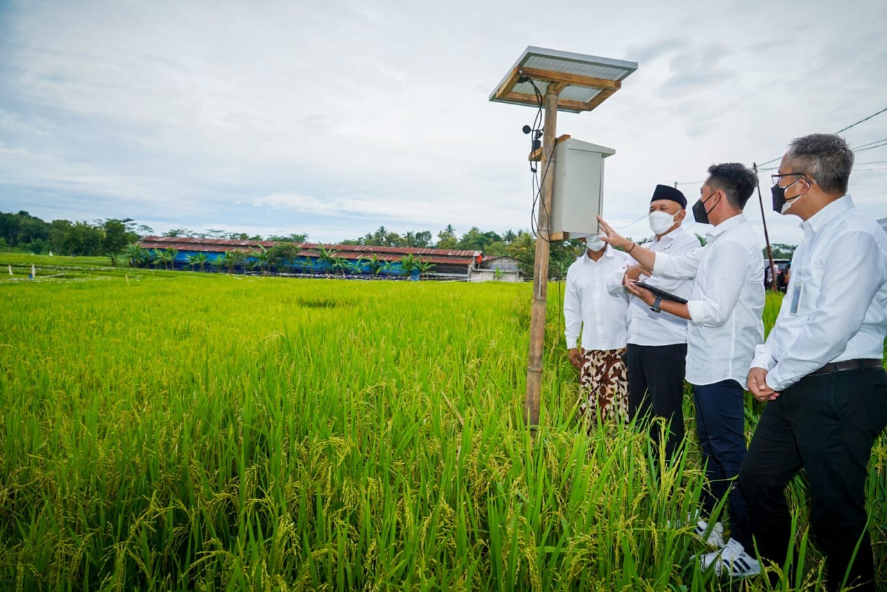 Koperasi Gardu Tani Al Barokah Didorong Kelola 1000 Hektar Lahan Beras Organik