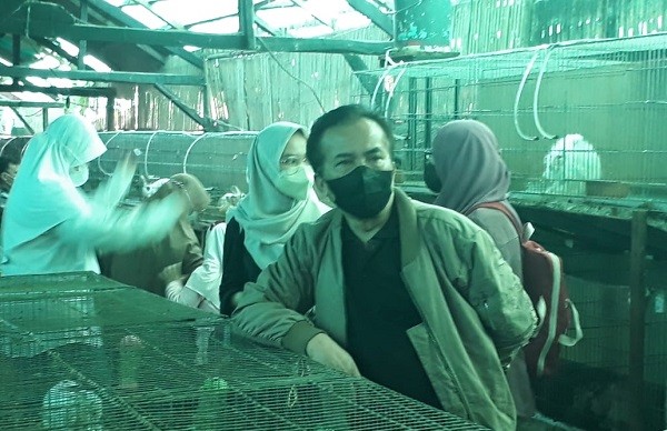 Pengusaha Ternak Kelinci Ngaku Kembangkan Usahanya Berawal dari Sang Anak 