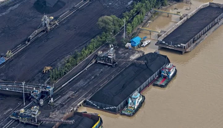 DPR Anggap Usulan Penghapusan DMO Justru Bikin Ruwet