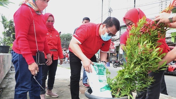 Ahmad Basarah: PDIP Rayakan HUT Partai dan Megawati dengan Gerakan Tanam Pohon 