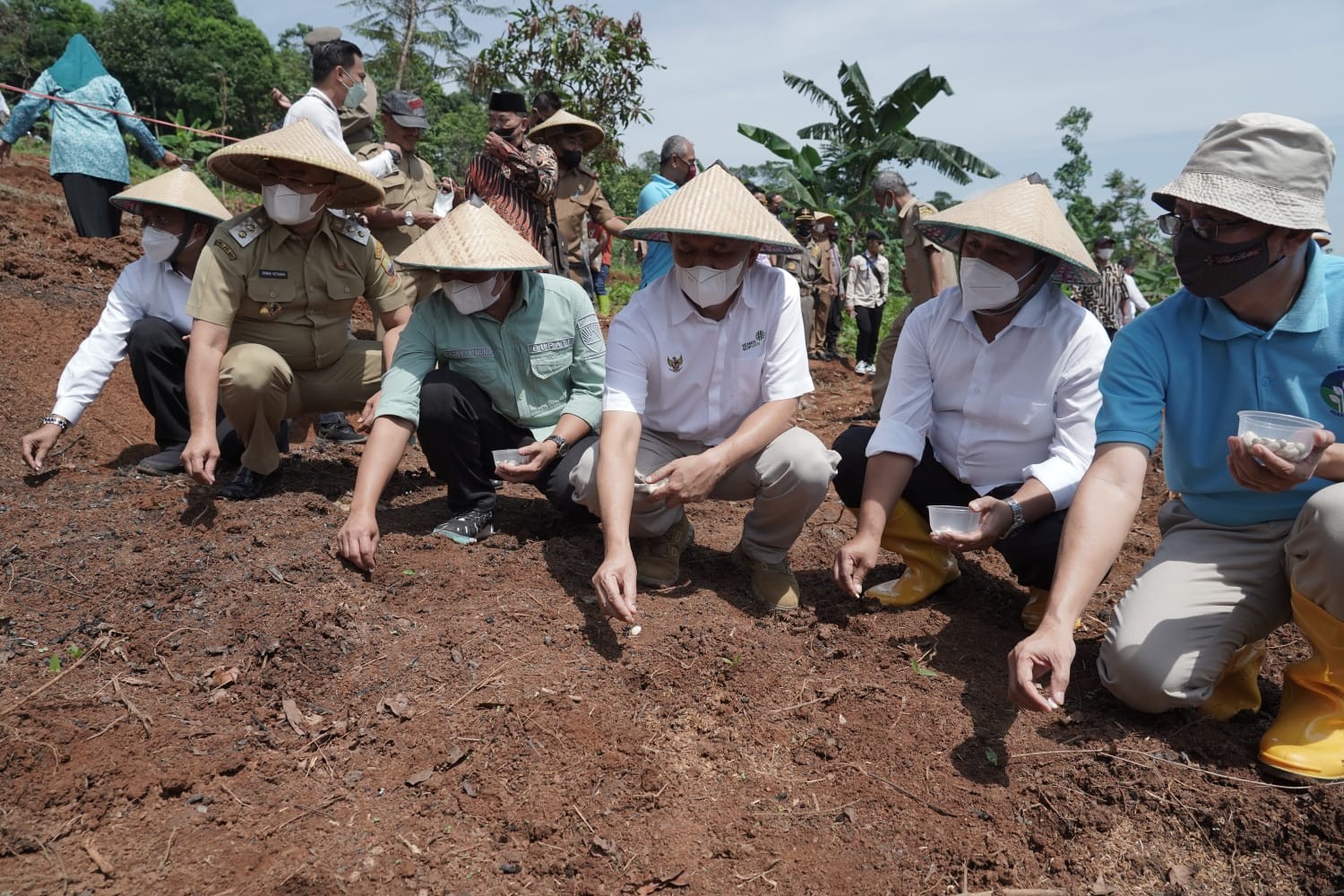 Atasi Ketergantungan Impor Kedelai, Kacang Koro Pedang Bisa Jadi Alternatif