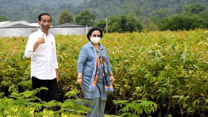 Sekjen PDIP Pastikan Pertemuan Megawati dan Jokowi Tak Bahas Penundaan Pemilu