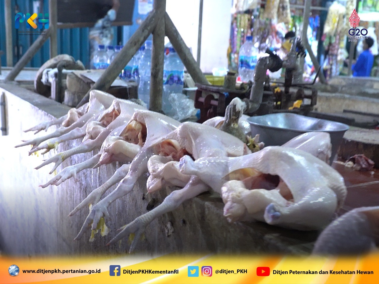 Kementan: Pasokan Daging Sapi, Ayam dan Telur di Jateng Aman