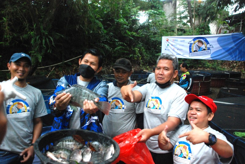 Journalis Mancing Indonesia Panen Raya Ikan Nila
