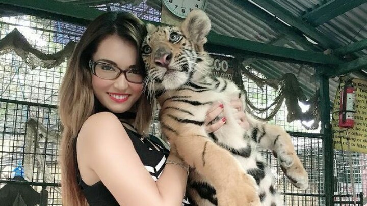 Miyabi Bakal Gelar Gala Dinner di Jakarta, Begini Kata Wagub DKI