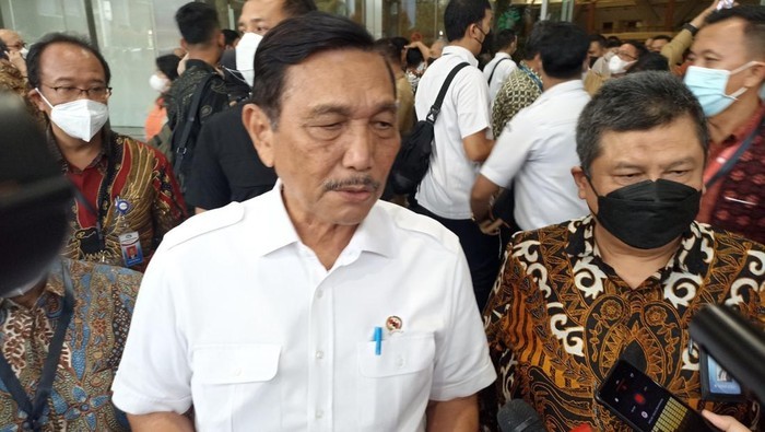Demokrat: Kabinet Jokowi Ketergantungan Banget sama Menko Minyak Goreng