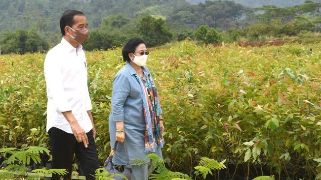Hubungan Jokowi-Megawati Renggang, Pratikno: Baik-baik Saja 