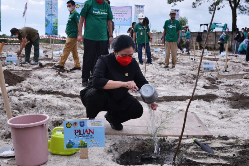 Puan Pimpin Penghijauan di Lahan Eks Tambang di Babel: Jangan Habis Manis Sepah Dibuang
