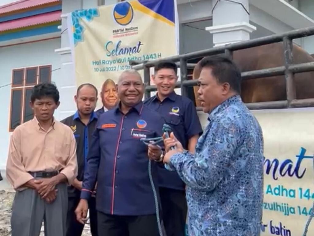 NasDem Salurkan 63 Sapi Kurban ke 11 Daerah di Papua Barat