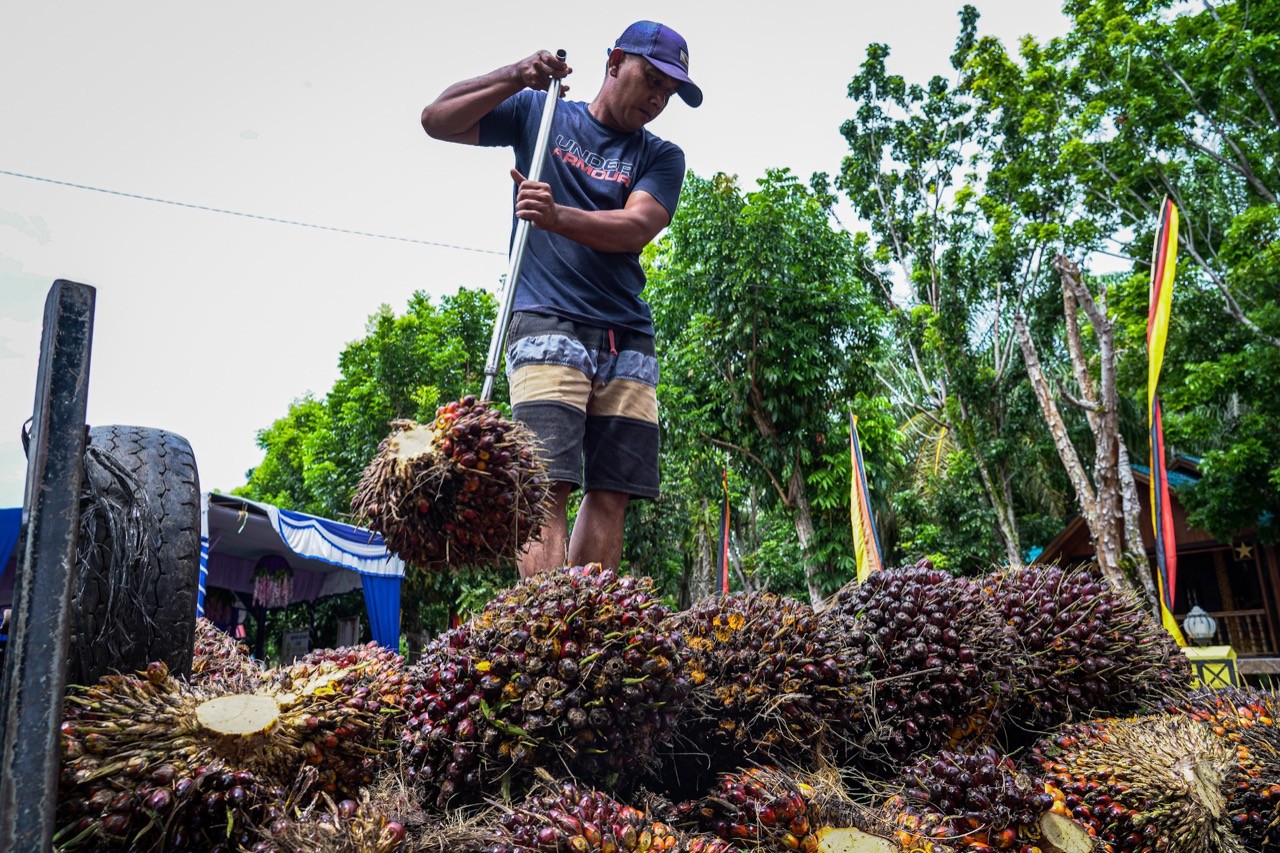 PKS: Program Biodiesel 40 Persen Penyediaannya Jangan Itu Melulu