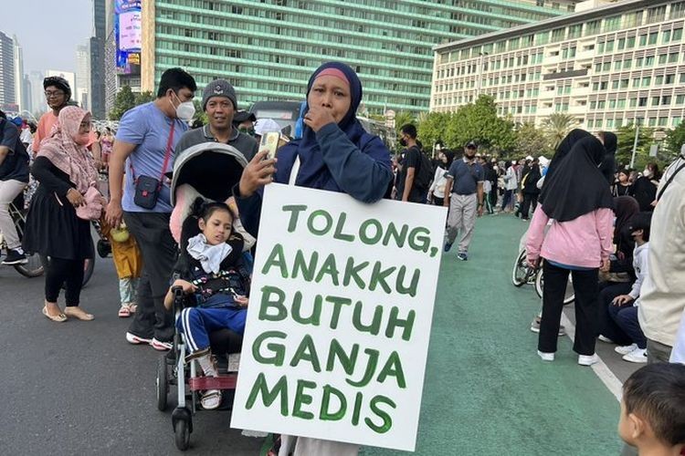 DPR Minta Pemerintah Segera Respons Putusan MK soal Kajian Ganja Medis