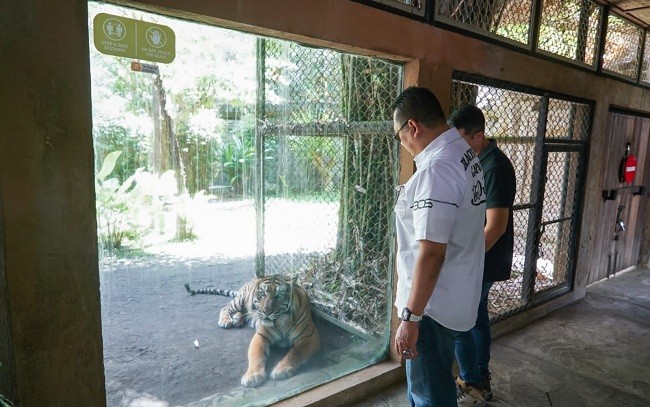 Kunjungi Bali Zoo, Ketua MPR RI Beri Nama Anak Owa Jaya dan Ajak Masyarakat Dukung Pelestarian Satwa Liar