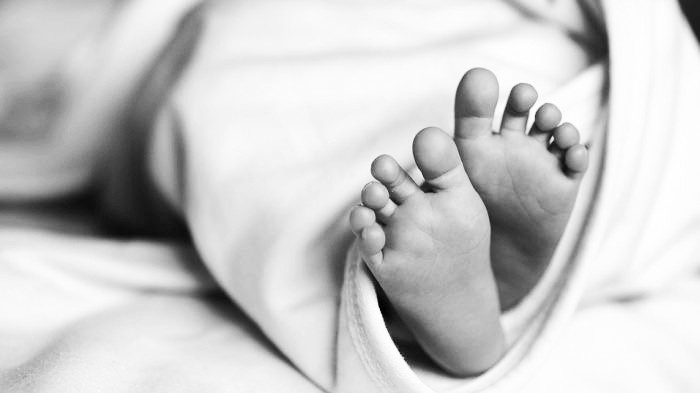 Wajah Dipenuhi Semut, Bayi Malang Ditemukan Tewas dalam Gerobak Motor