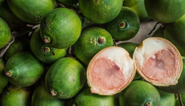 Ini 5 Manfaat Pinang Muda bagi Kesehatan Pria