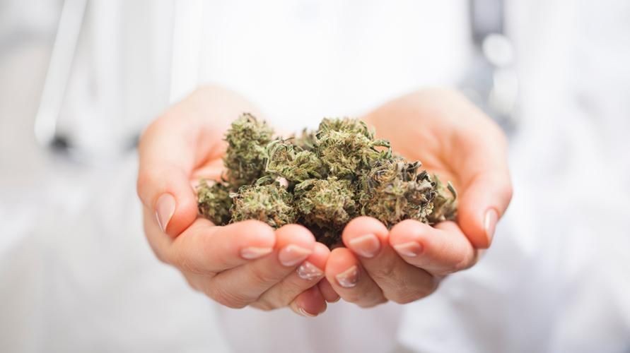 Ganja Sintetis, Tiga Produsen Ditangkap di Jaksel