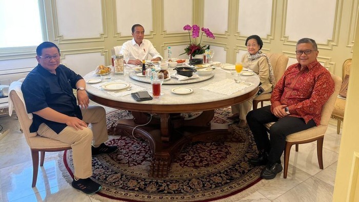 Jokowi Beberkan Isi Pertemuannya dengan Megawati