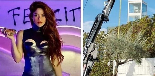 Bikin Geger, Shakira Dikabarkan Bawa Pohon dari Kebunnya di Barcelona 
