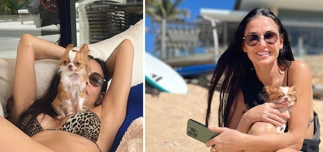 Berpose Bikini Tali Macan Tutul dengan Anak Anjing, Demi Moore Bikin Penggemar Terobsesi