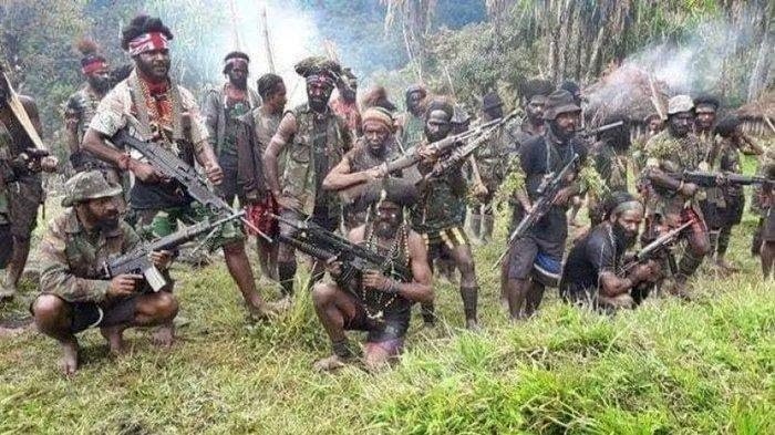 Berantas KKB di Papua, Semua Pihak Diimbau untuk Turun Tangan