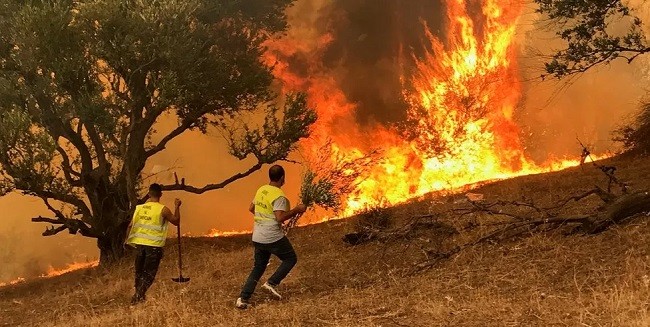 Kebakaran Hutan di Aljazair Tewaskan Sedikitnya 15 Orang, Banyak Tentara Jadi Korban