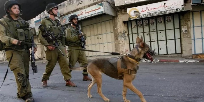 Israel Serang Perempuan Gunakan Anjing, Pejuang Palestina Serukan Revolusi