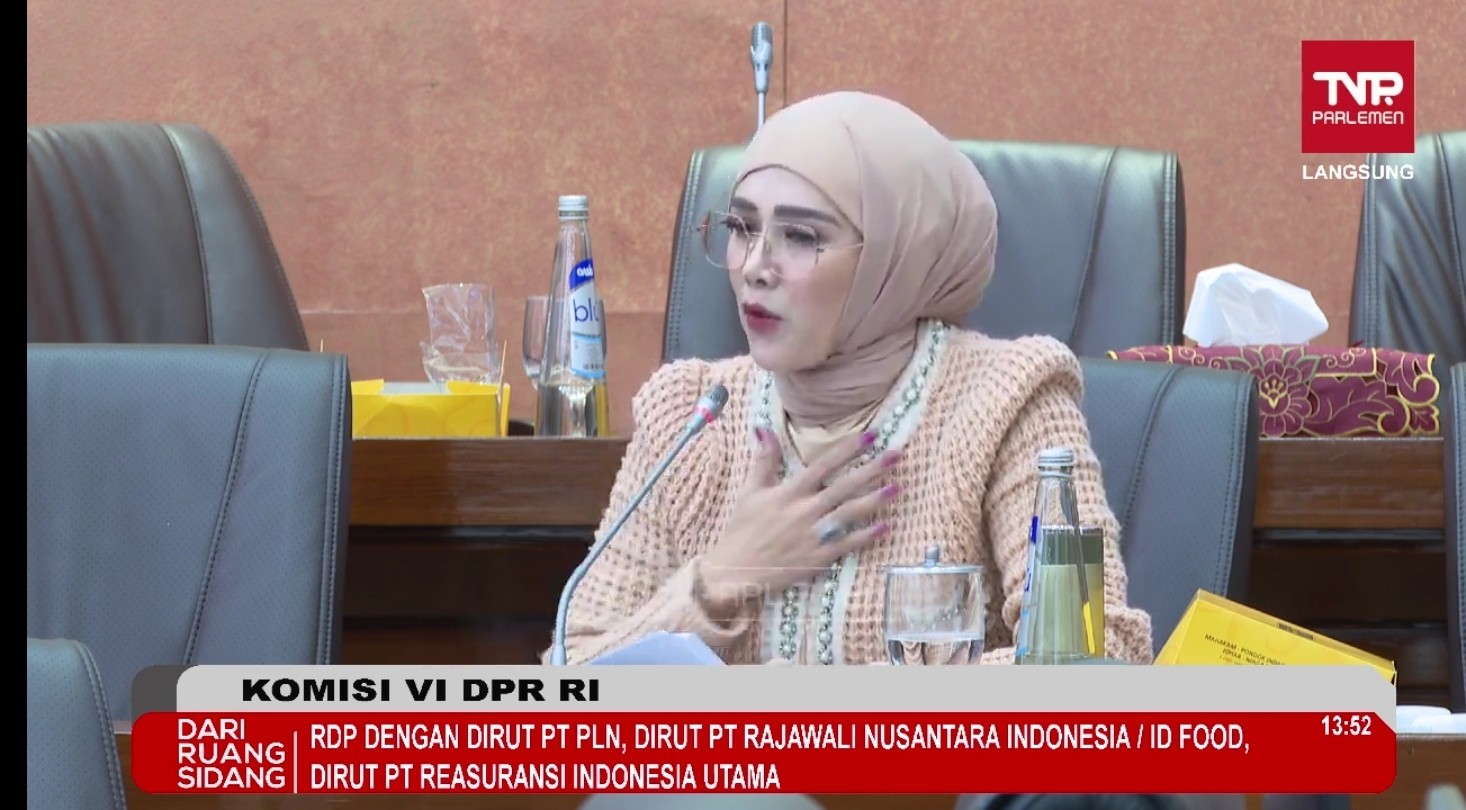 Mulan Jameela Dukung Sejuta Persen Program Listrik Desa PLN
