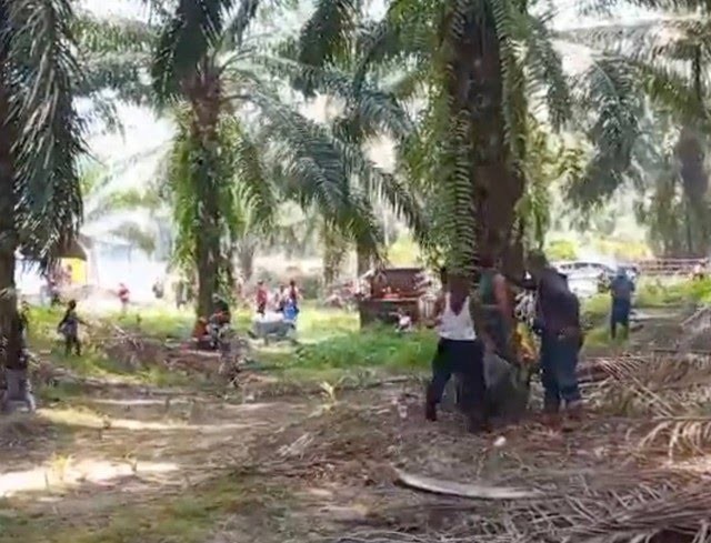 YLBHI Ungkap 1 Warga Seruyan Kalteng Wafat Ditembak Polisi saat Demo