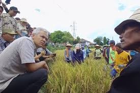 Ganjar Komitmen Sediakan Pupuk yang Berkualitas dan Mudah Didapatkan Petani