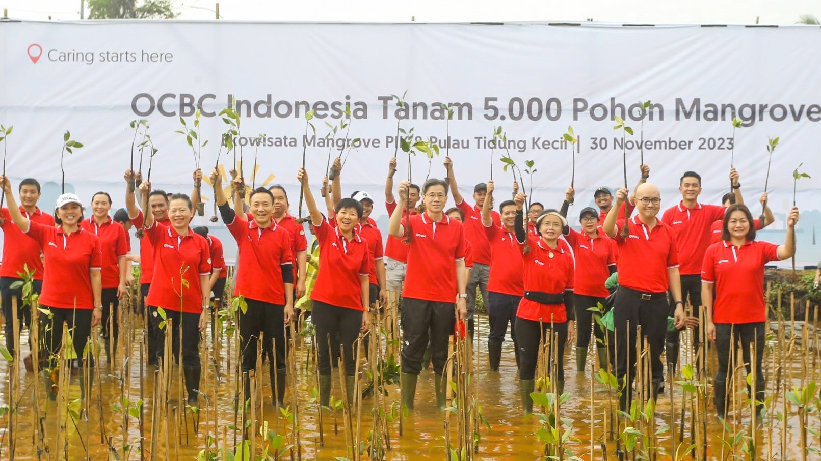 OCBC Indonesia Lestarikan Lingkungan Hidup dengan Tanam 5.000 Pohon Mangrove di Pulau Tidung Kecil
