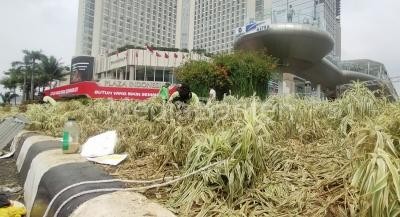 Distamhut DKI Perbaiki Tanaman yang Rusak Usai Perayaan Malam Tahun Baru