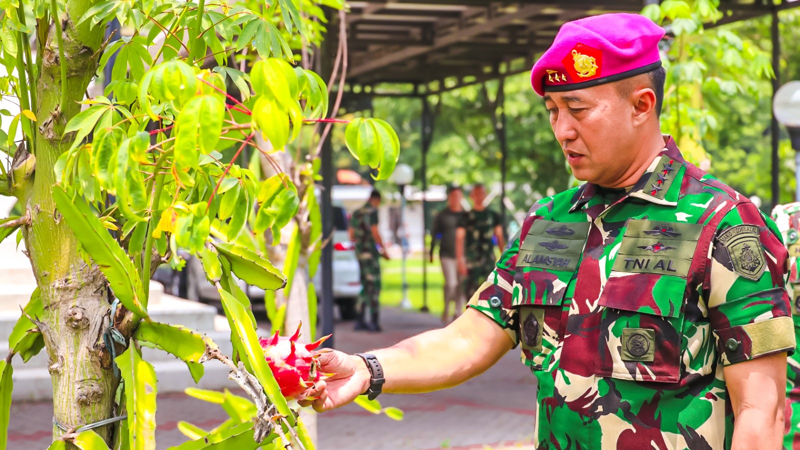 Dankodiklatal Panen Raya Buah Naga di Taman Dispen Kodiklatal