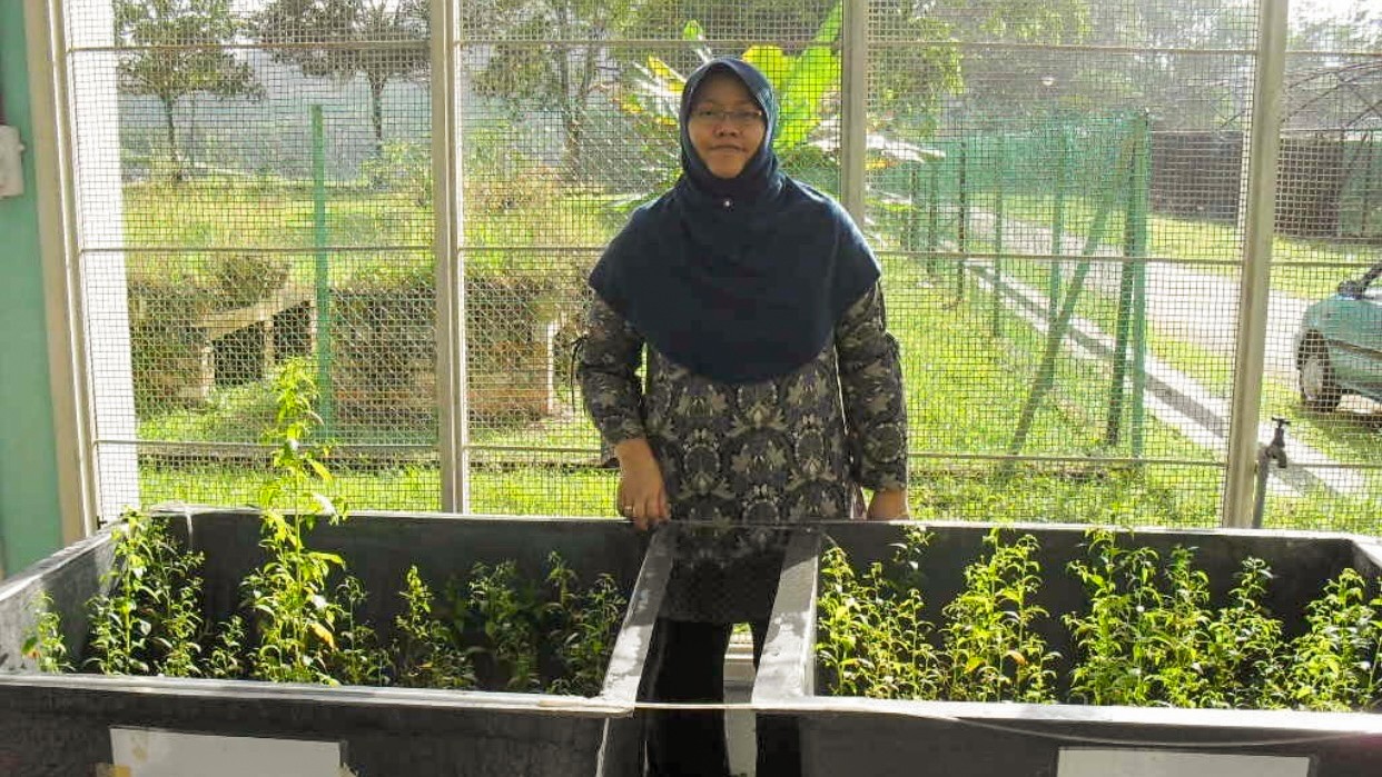 Pulihkan Lingkungan, Profesor ITS Gagas Teknologi Bioremediasi dan Fitoremediasi