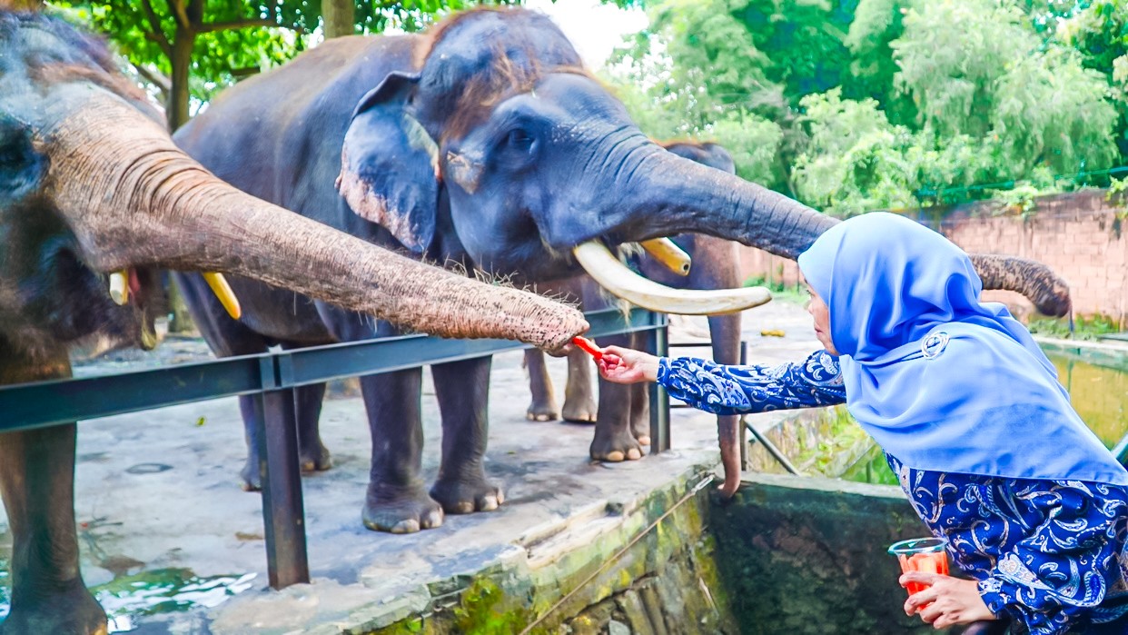 Khofifah Healing ke Jatim Park 2 Batu dengan Momong Cucu juga Kenalkan Satwa dan Kuliner Legendaris