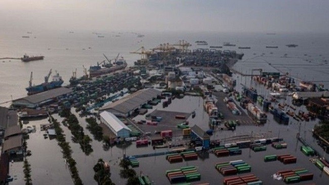Pelindo Tanjung Emas Catat Adanya Peningkatan Produktivitas Bongkar Muat