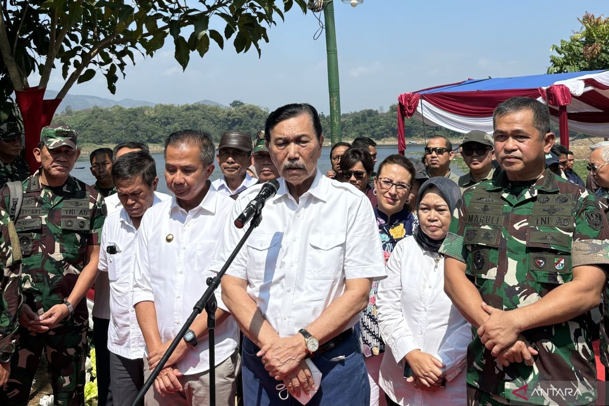 Airlangga Mundur dari Ketum Golkar, Luhut: Itu Hak Beliau